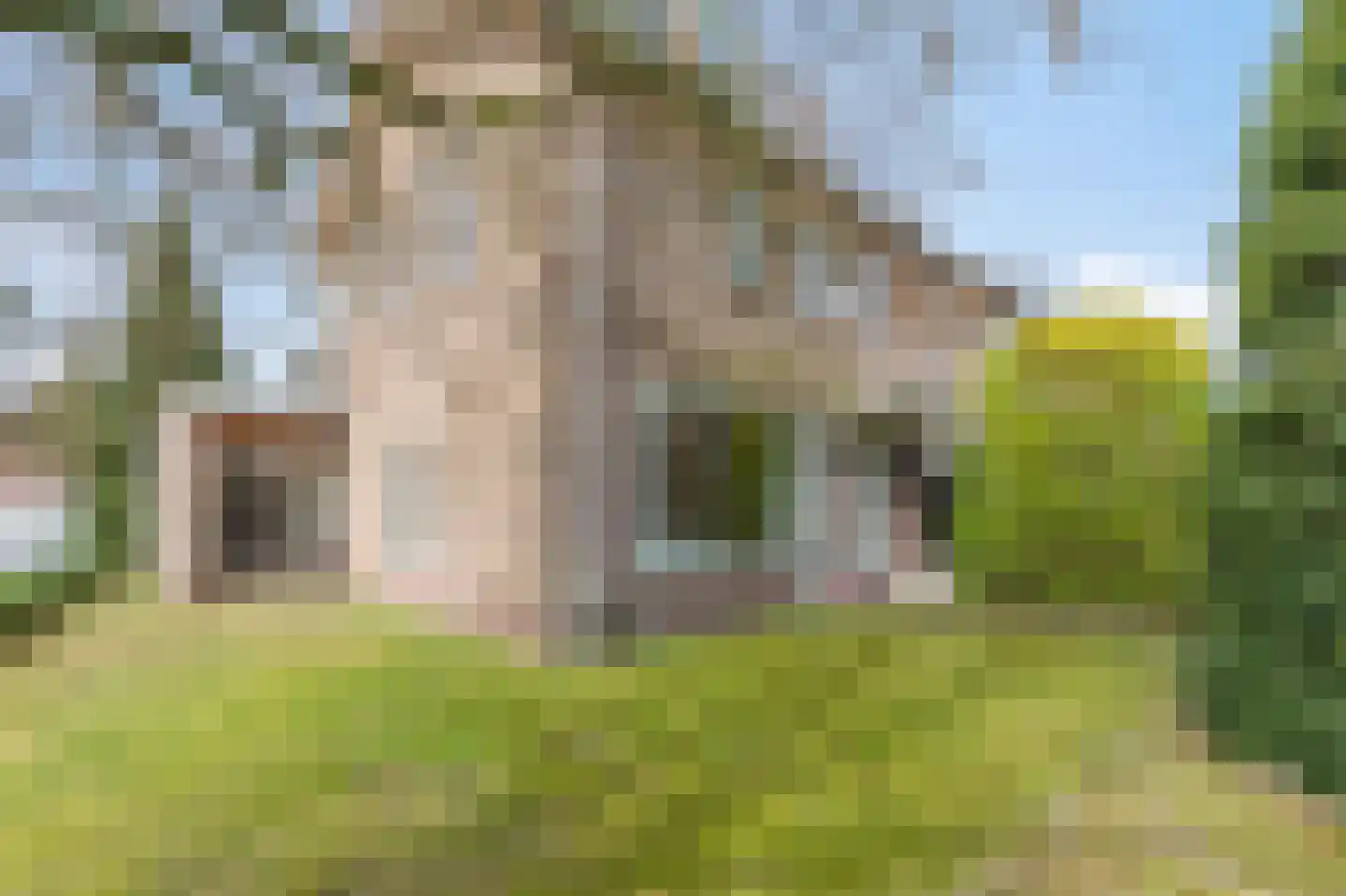 Daalhuizerweg 21 Velp thumbnail 20