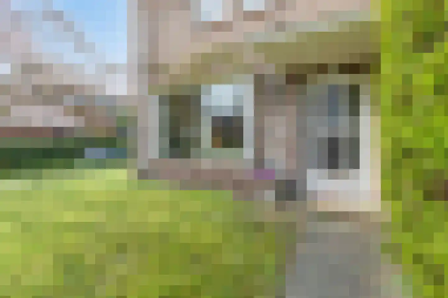 Daalhuizerweg 21 Velp thumbnail 22