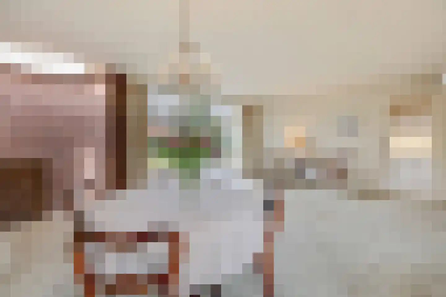 Daalhuizerweg 21 Velp thumbnail 24