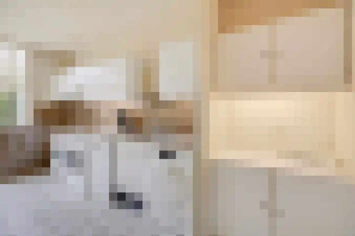 Daalhuizerweg 21 Velp thumbnail 29