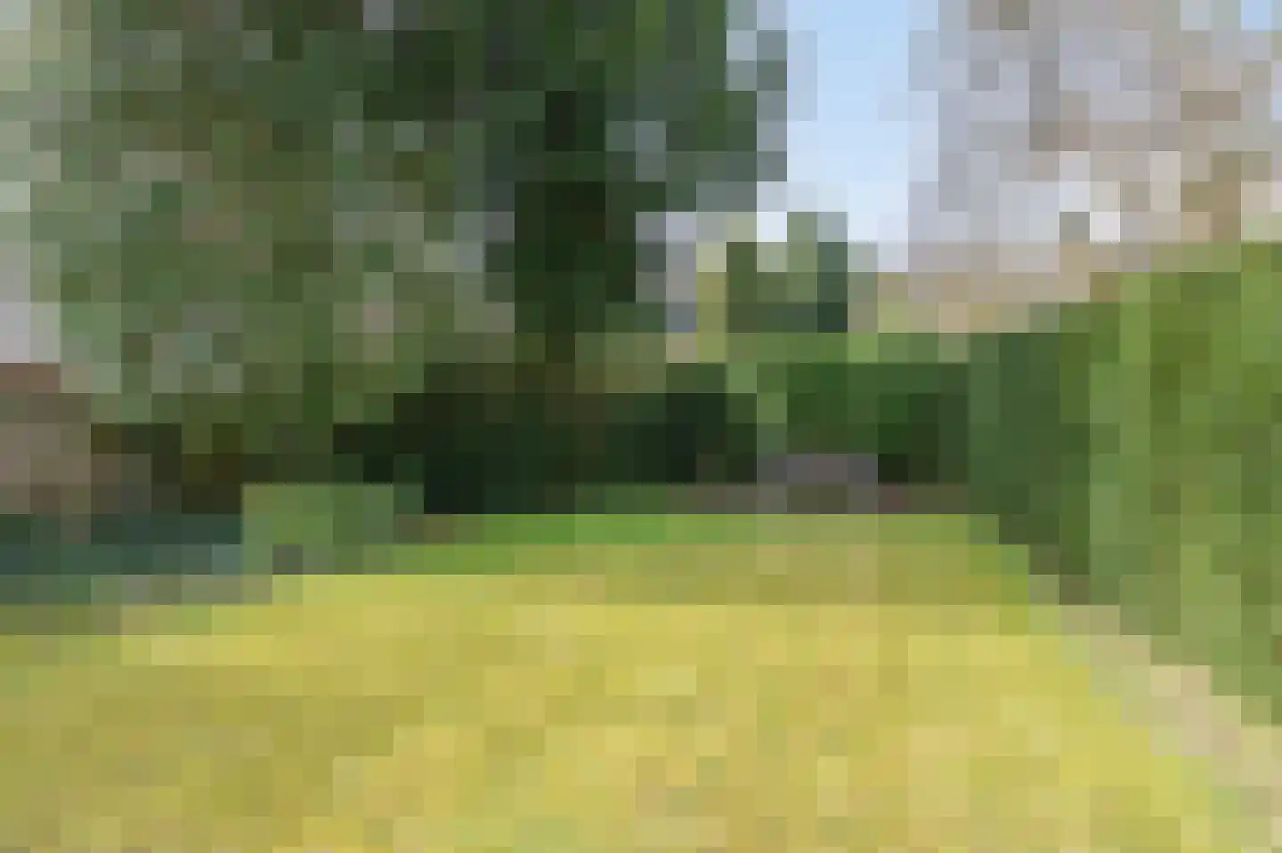 Daalhuizerweg 21 Velp thumbnail 39