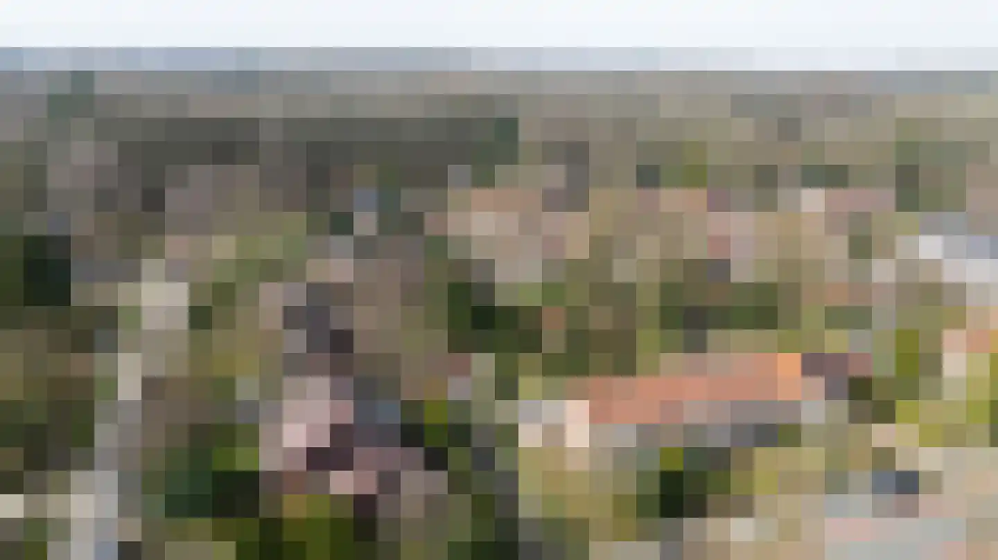 Daalhuizerweg 21 Velp thumbnail 4