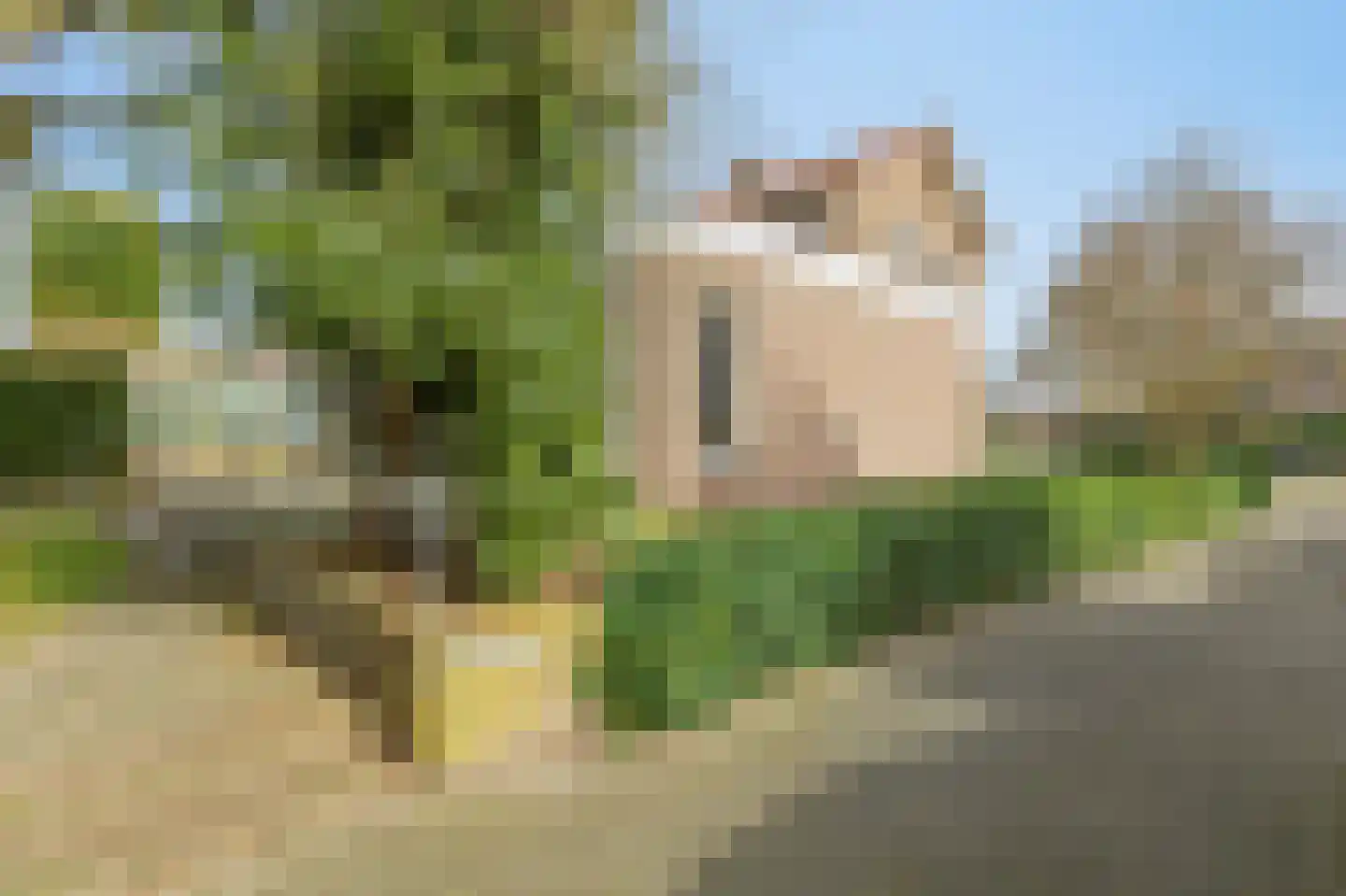 Daalhuizerweg 21 Velp thumbnail 41