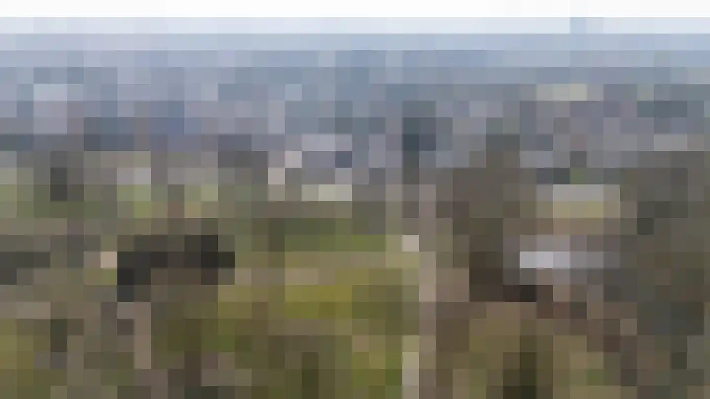 Daalhuizerweg 21 Velp thumbnail 42