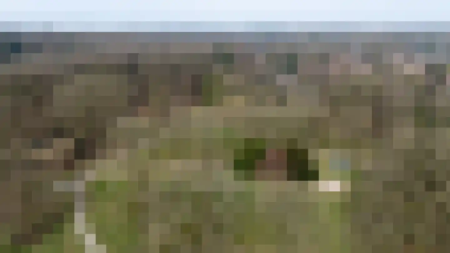 Daalhuizerweg 21 Velp thumbnail 43