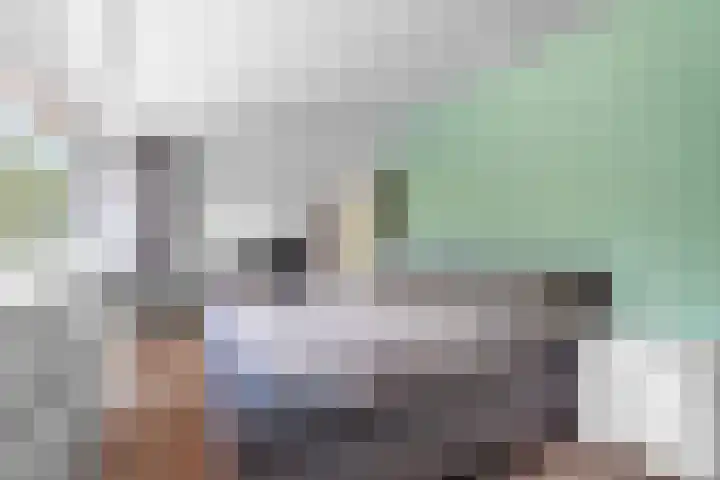Daalhuizerweg 27 Velp thumbnail 33