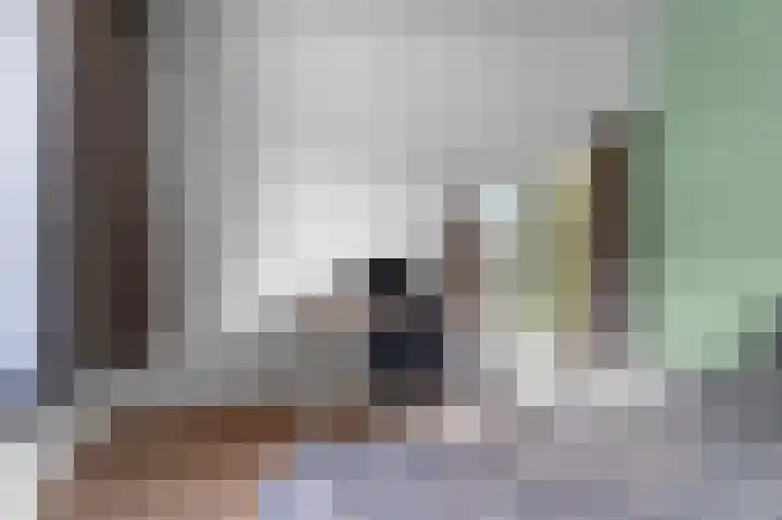Daalhuizerweg 27 Velp thumbnail 34