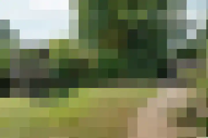 Daalhuizerweg 27 Velp thumbnail 50
