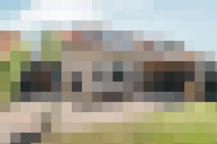 Daalhuizerweg 27 Velp thumbnail 53