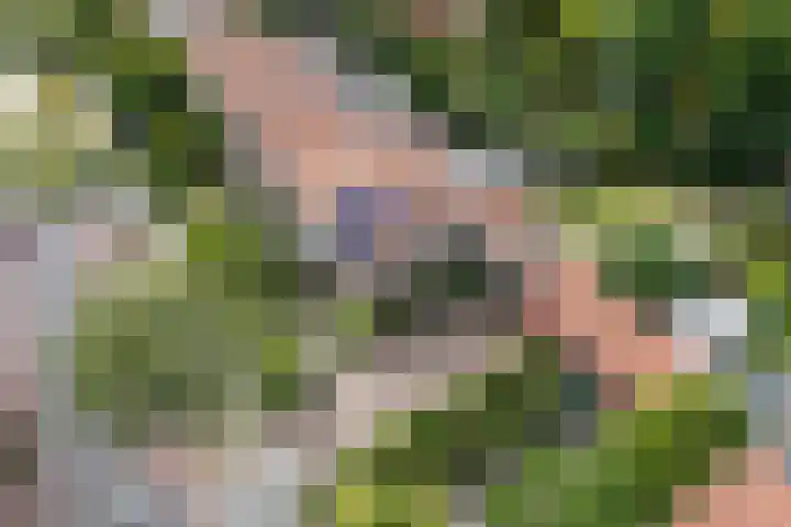 Daalhuizerweg 27 Velp thumbnail 58
