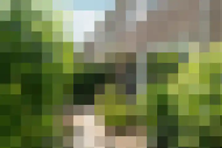 Daalhuizerweg 27 Velp thumbnail 6