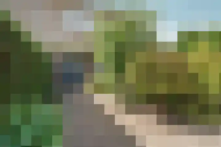 Daalhuizerweg 27 Velp thumbnail 7