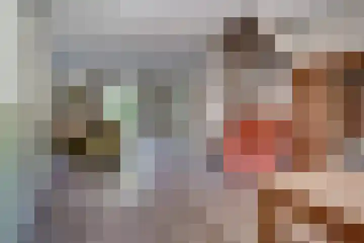 Daalhuizerweg 4 Velp thumbnail 15