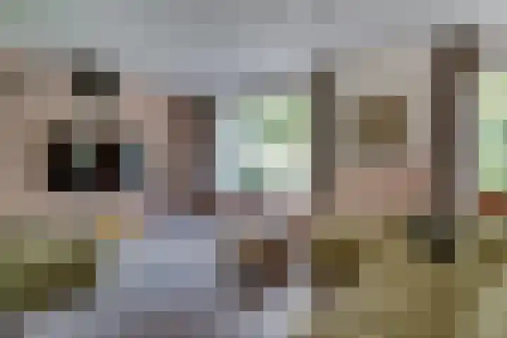 Daalhuizerweg 4 Velp thumbnail 18