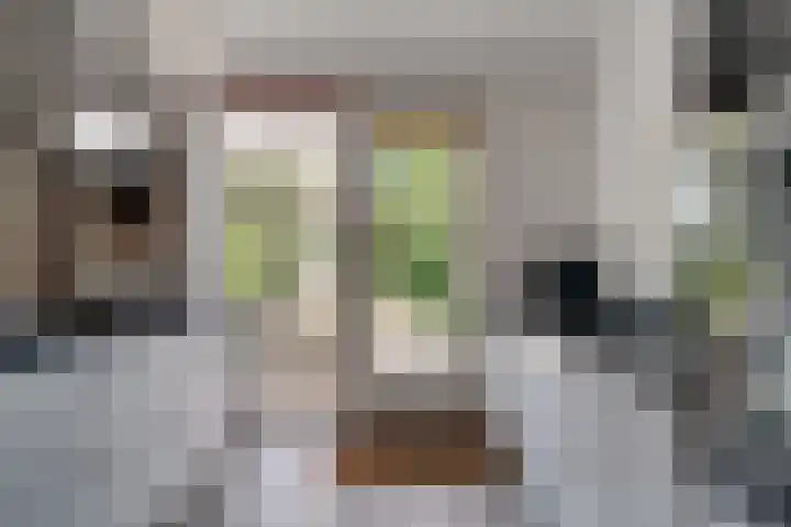 Daalhuizerweg 4 Velp thumbnail 25