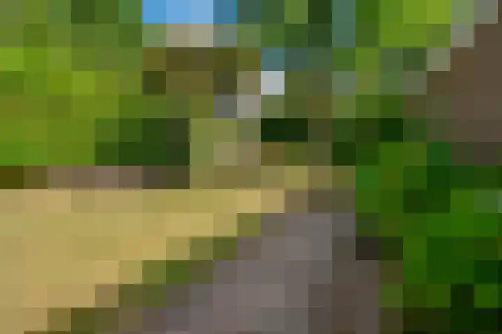 Daalhuizerweg 4 Velp thumbnail 30