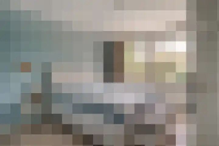 Daalhuizerweg 4 Velp thumbnail 36