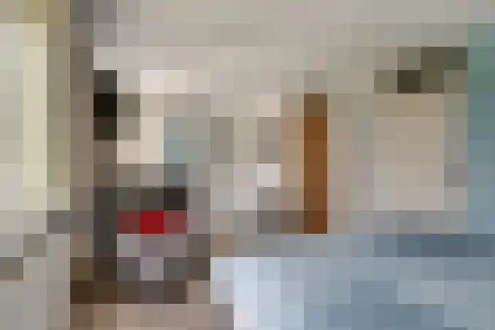 Daalhuizerweg 4 Velp thumbnail 38