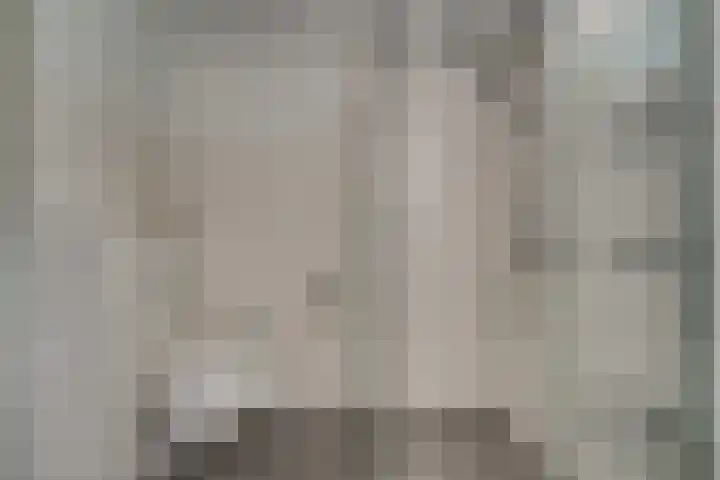 Daalhuizerweg 4 Velp thumbnail 45