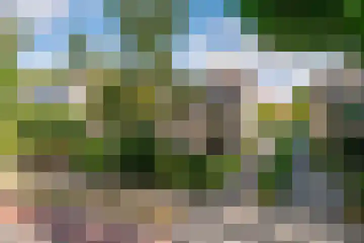 Daalhuizerweg 4 Velp thumbnail 5