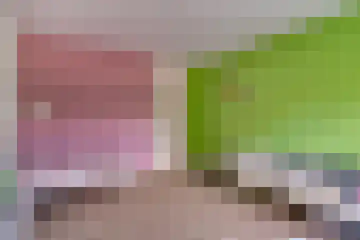 Daalhuizerweg 4 Velp thumbnail 50