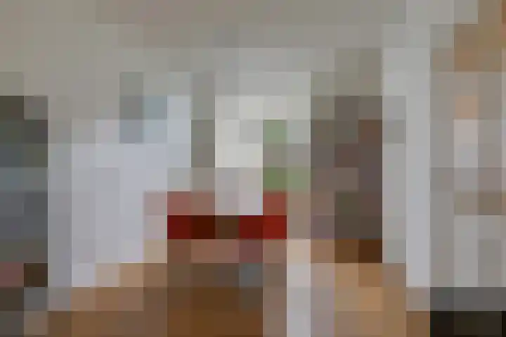 Daalhuizerweg 54 Velp thumbnail 18