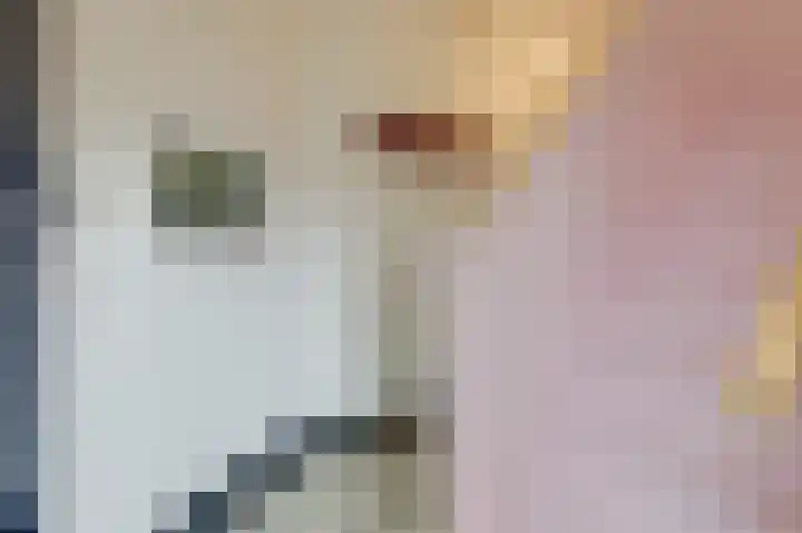 Daalhuizerweg 54 Velp thumbnail 19