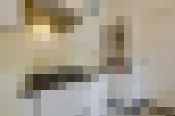 Daalhuizerweg 54 Velp thumbnail 22