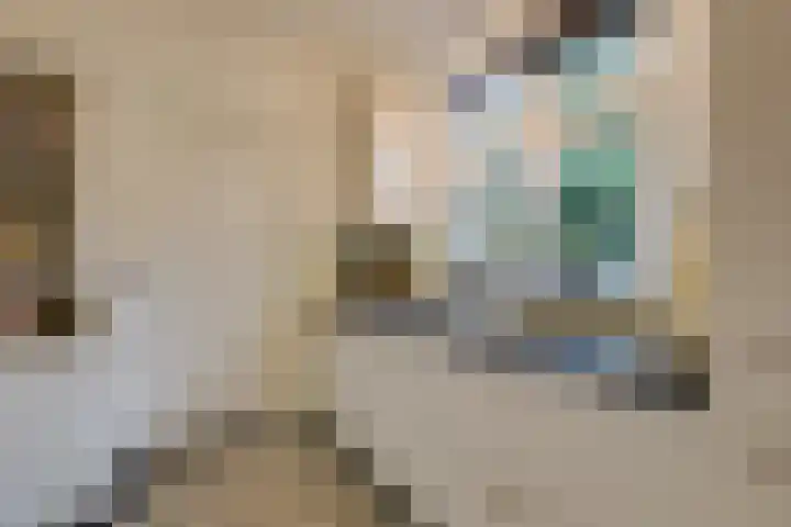 Daalhuizerweg 54 Velp thumbnail 24