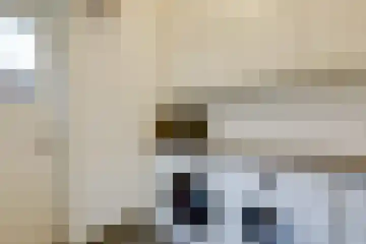 Daalhuizerweg 54 Velp thumbnail 25