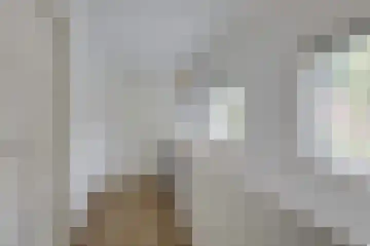 Daalhuizerweg 54 Velp thumbnail 28