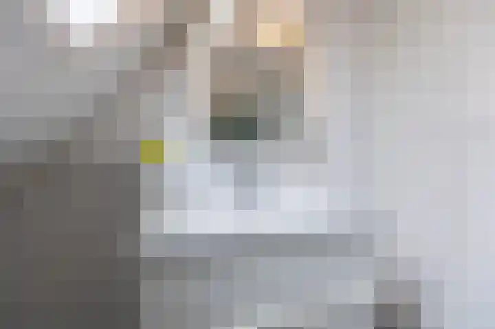 Daalhuizerweg 54 Velp thumbnail 35