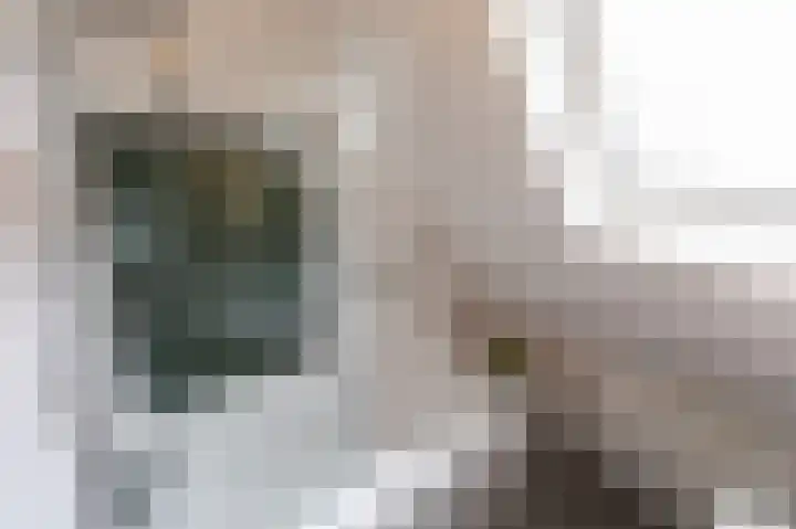 Daalhuizerweg 54 Velp thumbnail 36