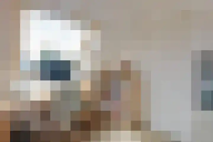 Daalhuizerweg 54 Velp thumbnail 38