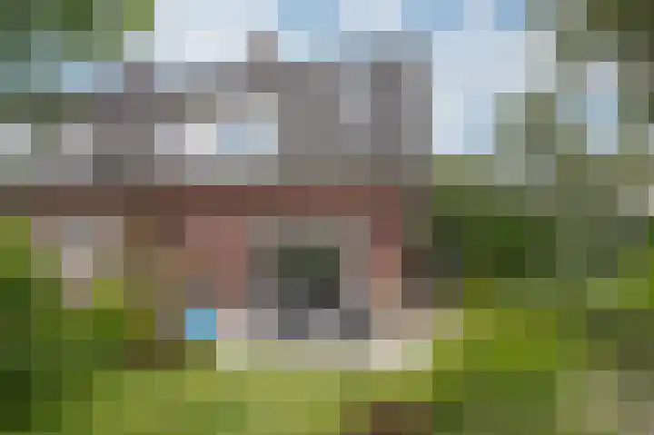 Daalhuizerweg 54 Velp thumbnail 41