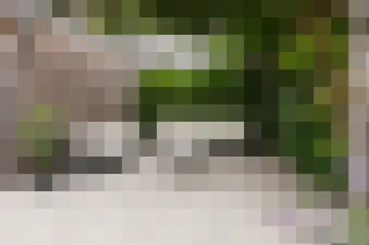 Daalhuizerweg 54 Velp thumbnail 43