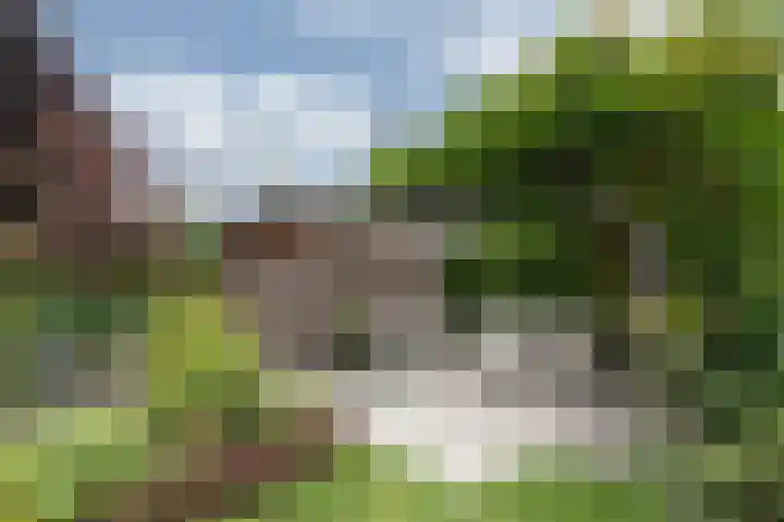 Daalhuizerweg 54 Velp thumbnail 44