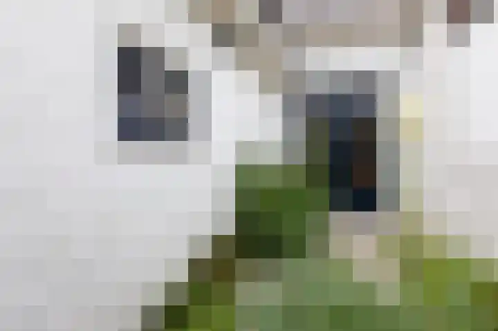 Daalhuizerweg 54 Velp thumbnail 48