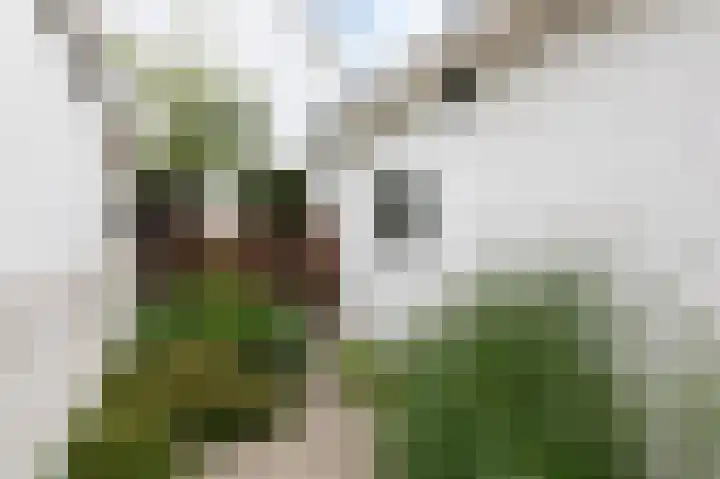 Daalhuizerweg 54 Velp thumbnail 49