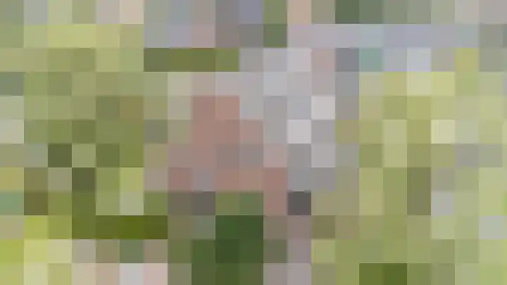 Daalhuizerweg 54 Velp thumbnail 6