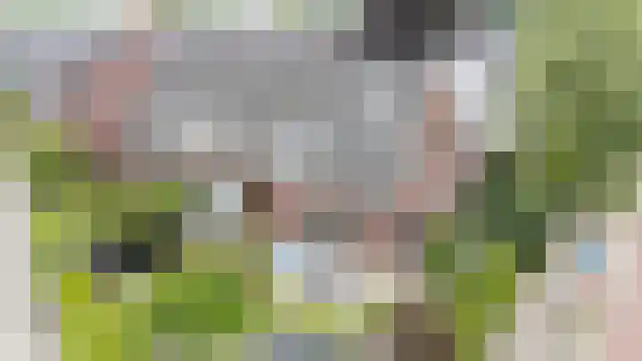 Daalhuizerweg 54 Velp thumbnail 61