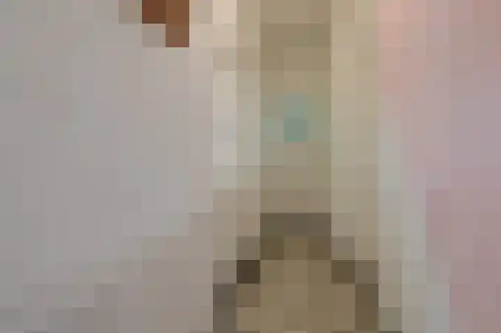 Daalhuizerweg 54 Velp thumbnail 9