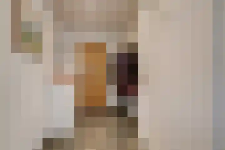 Daalhuizerweg 6 a Velp thumbnail 11