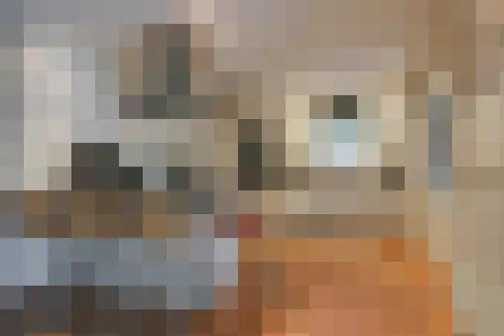 Daalhuizerweg 6 a Velp thumbnail 18