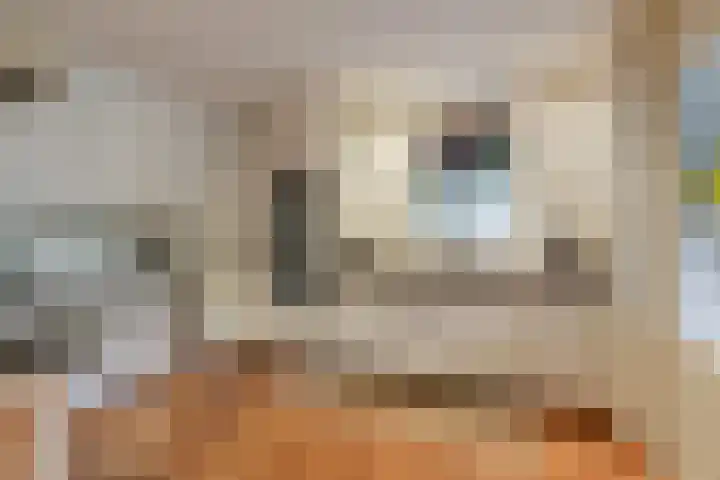 Daalhuizerweg 6 a Velp thumbnail 19