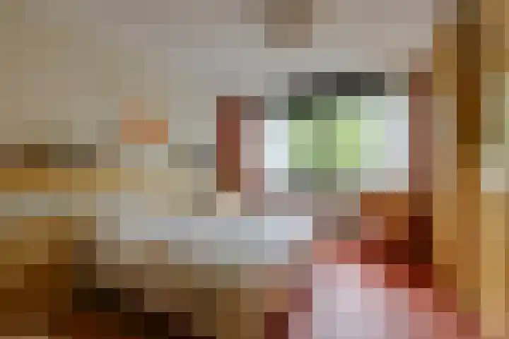 Daalhuizerweg 6 a Velp thumbnail 26