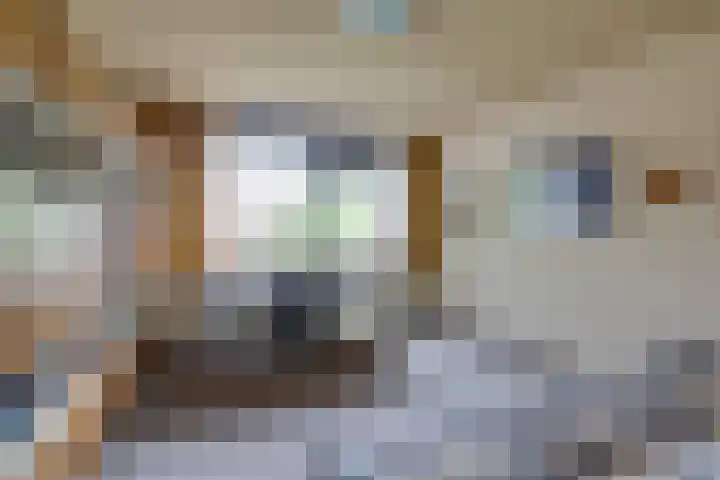 Daalhuizerweg 6 a Velp thumbnail 27