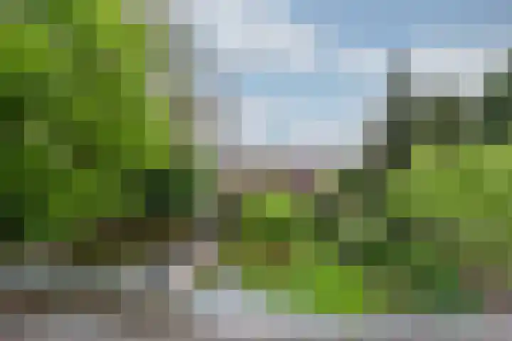 Daalhuizerweg 6 a Velp thumbnail 28