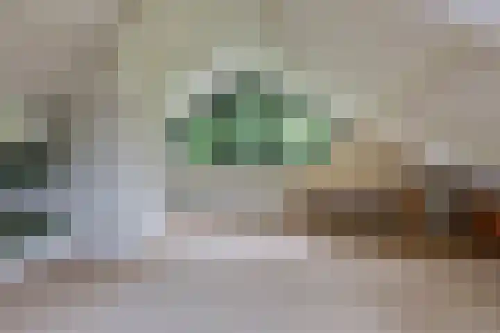 Daalhuizerweg 6 a Velp thumbnail 38
