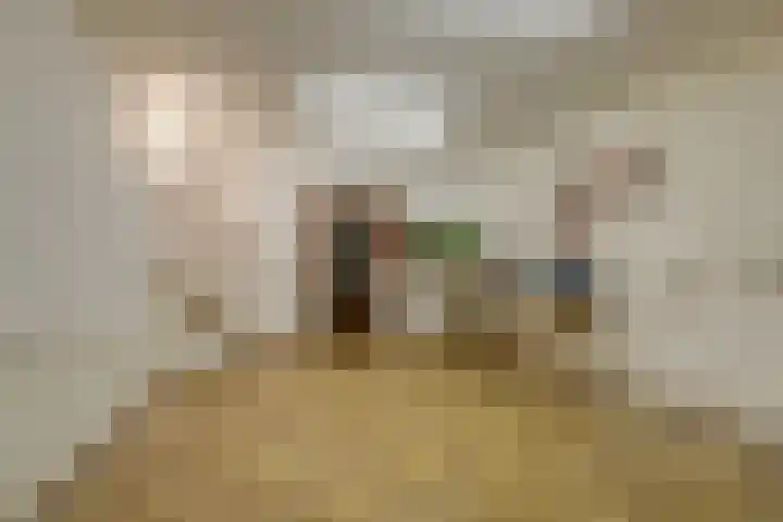 Daalhuizerweg 6 a Velp thumbnail 40